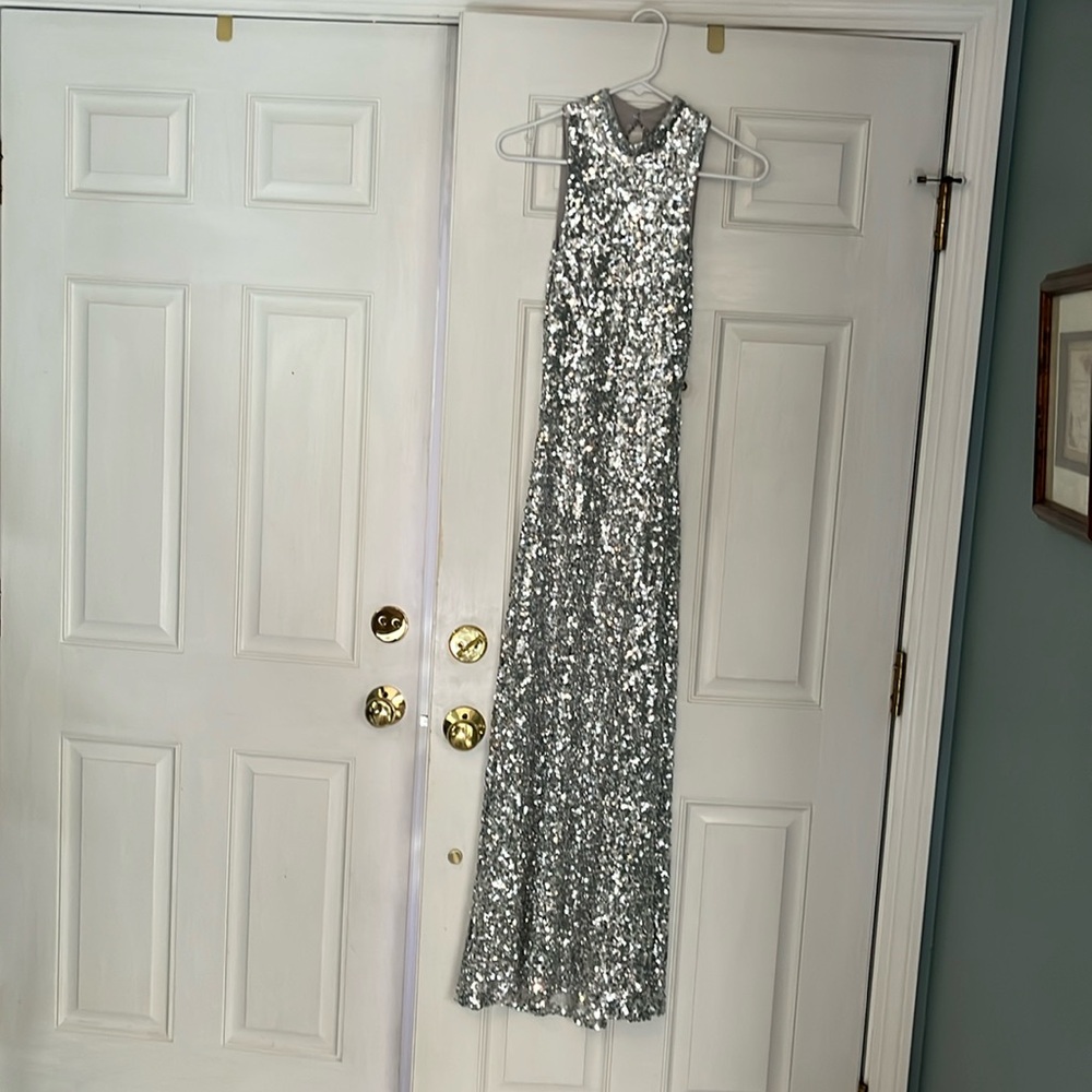 Zara Sequin Dress Size Small NWT
